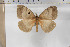  ( - BC-TB5890)  @13 [ ] Copyright (2010) Thierry Bouyer Unspecified