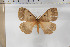  ( - BC-TB5891)  @12 [ ] Copyright (2010) Thierry Bouyer Unspecified