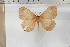  ( - BC-TB5892)  @12 [ ] Copyright (2010) Thierry Bouyer Unspecified