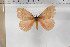 ( - BC-TB5895)  @13 [ ] Copyright (2010) Thierry Bouyer Unspecified