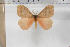  ( - BC-TB5896)  @12 [ ] Copyright (2010) Thierry Bouyer Unspecified