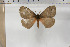  ( - BC-TB5897)  @14 [ ] Copyright (2010) Thierry Bouyer Unspecified