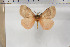  ( - BC-TB5899)  @13 [ ] Copyright (2010) Thierry Bouyer Unspecified