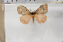  ( - BC-TB5900)  @13 [ ] Copyright (2010) Thierry Bouyer Unspecified