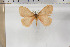  ( - BC-TB5903)  @12 [ ] Copyright (2010) Thierry Bouyer Unspecified