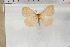  ( - BC-TB5904)  @13 [ ] Copyright (2010) Thierry Bouyer Unspecified