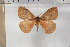  ( - BC-TB5905)  @13 [ ] Copyright (2010) Thierry Bouyer Unspecified