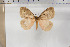  ( - BC-TB5909)  @11 [ ] Copyright (2010) Thierry Bouyer Unspecified