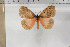  ( - BC-TB5911)  @11 [ ] Copyright (2010) Thierry Bouyer Unspecified