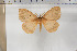  ( - BC-TB5916)  @11 [ ] Copyright (2010) Thierry Bouyer Unspecified