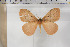  ( - BC-TB5922)  @12 [ ] Copyright (2010) Thierry Bouyer Unspecified