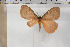  ( - BC-TB5924)  @12 [ ] Copyright (2010) Thierry Bouyer Unspecified