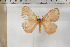  ( - BC-TB5926)  @13 [ ] Copyright (2010) Thierry Bouyer Unspecified