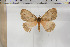  ( - BC-TB5927)  @13 [ ] Copyright (2010) Thierry Bouyer Unspecified