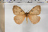  ( - BC-TB5928)  @13 [ ] Copyright (2010) Thierry Bouyer Unspecified
