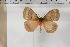 ( - BC-TB5930)  @13 [ ] Copyright (2010) Thierry Bouyer Unspecified