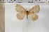  ( - BC-TB5932)  @13 [ ] Copyright (2010) Thierry Bouyer Unspecified