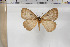  ( - BC-TB5946)  @13 [ ] Copyright (2010) Thierry Bouyer Unspecified