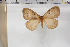  ( - BC-TB5948)  @13 [ ] Copyright (2010) Thierry Bouyer Unspecified