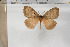  ( - BC-TB5952)  @13 [ ] Copyright (2010) Thierry Bouyer Unspecified