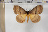  ( - BC-TB5958)  @14 [ ] Copyright (2010) Thierry Bouyer Unspecified