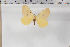  (Hemijana - BC-TB6053)  @13 [ ] Copyright (2010) Thierry Bouyer Unspecified