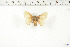  ( - BC-TB6164)  @12 [ ] Copyright (2010) Thierry Bouyer Unspecified