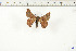  ( - BC-TB6180)  @12 [ ] Copyright (2010) Thierry Bouyer Unspecified
