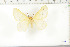 ( - BC-TB6265)  @12 [ ] Copyright (2010) Thierry Bouyer Unspecified