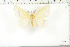  ( - BC-TB6266)  @12 [ ] Copyright (2010) Thierry Bouyer Unspecified