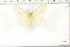  ( - BC-TB6267)  @12 [ ] Copyright (2010) Thierry Bouyer Unspecified