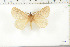  ( - BC-TB6277)  @12 [ ] Copyright (2010) Thierry Bouyer Unspecified