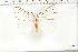  ( - BC-TB6397)  @13 [ ] Copyright (2010) Thierry Bouyer Unspecified