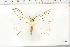  ( - BC-TB6398)  @13 [ ] Copyright (2010) Thierry Bouyer Unspecified