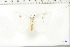  ( - BC-TB6403)  @12 [ ] Copyright (2010) Thierry Bouyer Unspecified
