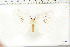  ( - BC-TB6404)  @12 [ ] Copyright (2010) Thierry Bouyer Unspecified