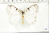  ( - BC-TB6405)  @13 [ ] Copyright (2010) Thierry Bouyer Unspecified