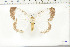  ( - BC-TB6406)  @13 [ ] Copyright (2010) Thierry Bouyer Unspecified