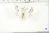 ( - BC-TB6418)  @12 [ ] Copyright (2010) Thierry Bouyer Unspecified