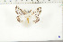 ( - BC-TB6421)  @13 [ ] Copyright (2010) Thierry Bouyer Unspecified