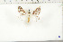  ( - BC-TB6423)  @12 [ ] Copyright (2010) Thierry Bouyer Unspecified