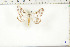  ( - BC-TB6424)  @12 [ ] Copyright (2010) Thierry Bouyer Unspecified