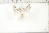 ( - BC-TB6425)  @12 [ ] Copyright (2010) Thierry Bouyer Unspecified