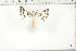  ( - BC-TB6426)  @12 [ ] Copyright (2010) Thierry Bouyer Unspecified