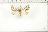  ( - BC-TB6427)  @12 [ ] Copyright (2010) Thierry Bouyer Unspecified