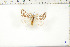  ( - BC-TB6429)  @13 [ ] Copyright (2010) Thierry Bouyer Unspecified