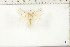  ( - BC-TB6447)  @13 [ ] Copyright (2010) Thierry Bouyer Unspecified