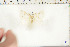  ( - BC-TB6448)  @12 [ ] Copyright (2010) Thierry Bouyer Unspecified