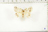  ( - BC-TB6449)  @13 [ ] Copyright (2010) Thierry Bouyer Unspecified