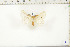  ( - BC-TB6450)  @13 [ ] Copyright (2010) Thierry Bouyer Unspecified